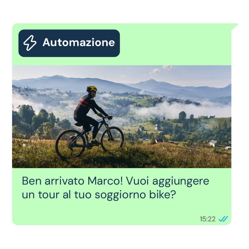WhatsApp durante il soggiorno